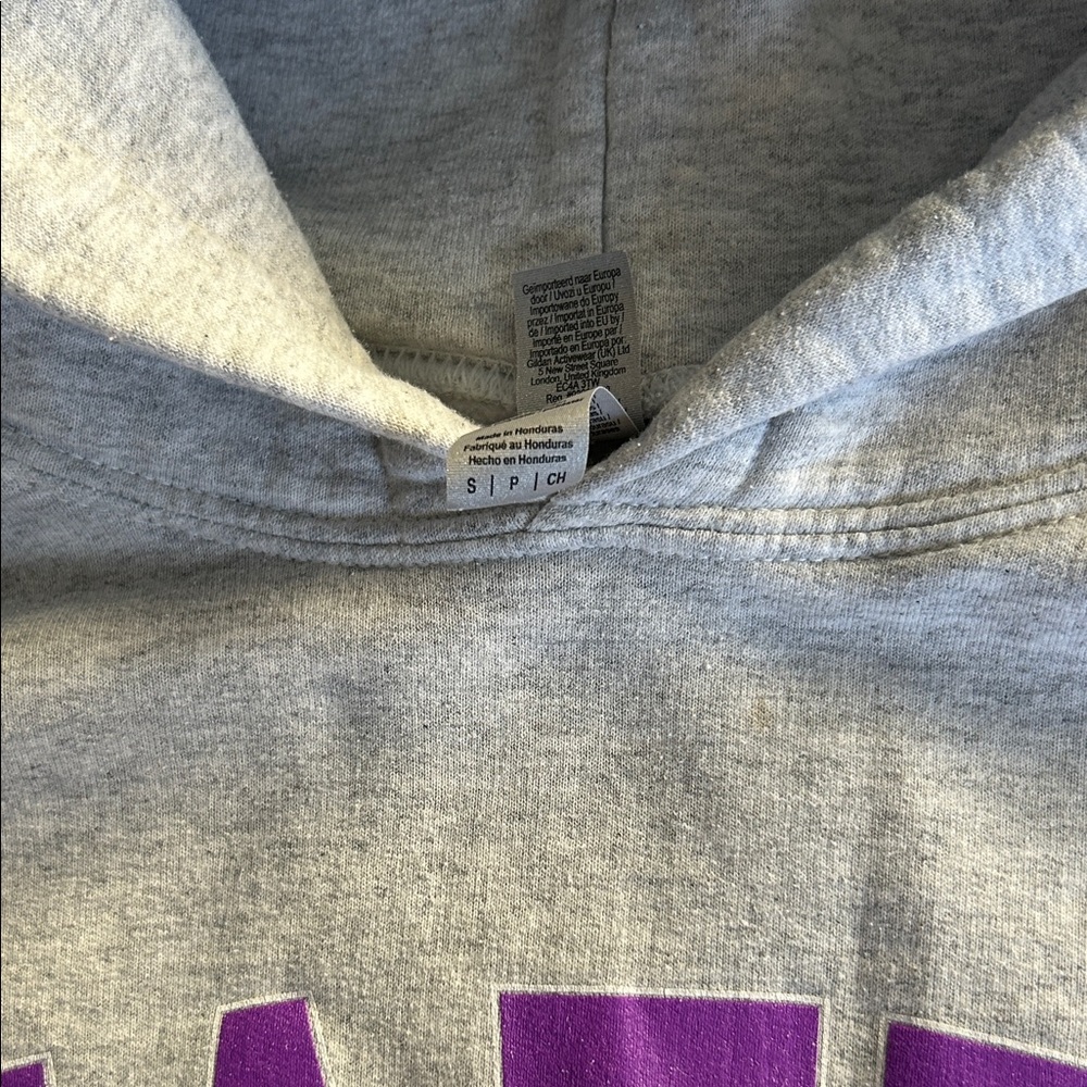 Hazel Gray Hoodie with Purple Lettering - Picture 3 of 3